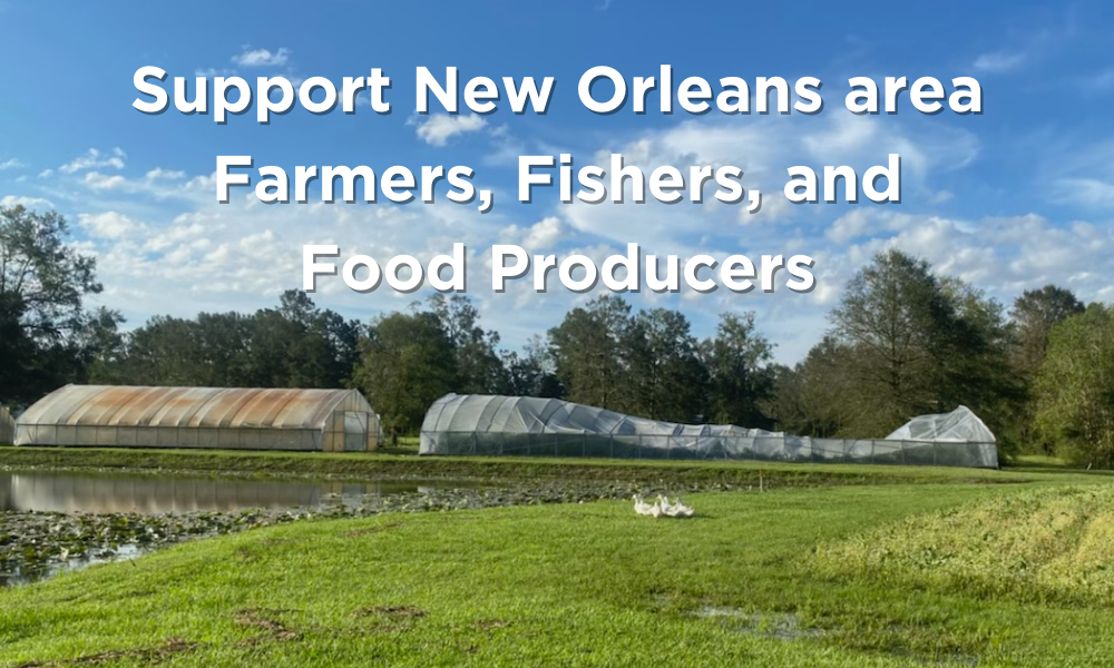 Food Systems Response & Recovery in the wake of Hurricane Ida